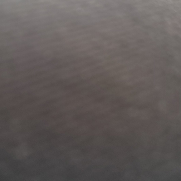 Meet your Posher, Oscar - Picture 1 of 1